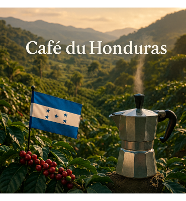 HONDURAS Arabica HG & SGH