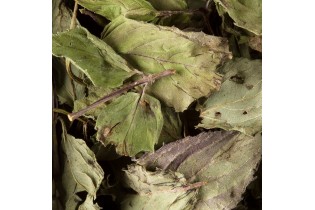Tisane Menthe Poivrée, 25 sachets cristal Dammann