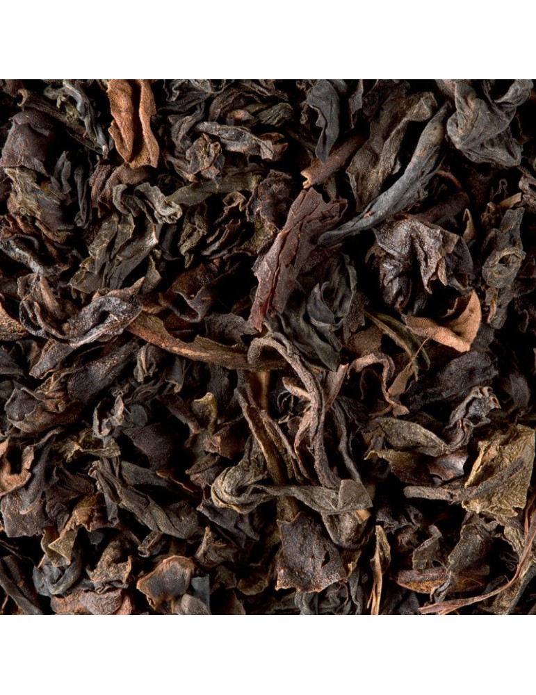 Oolong Fancy