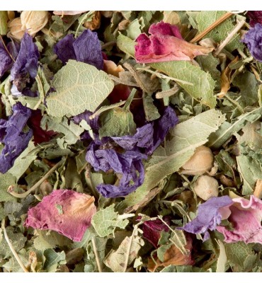 Tisane des Merveilles, 25 sachets cristal