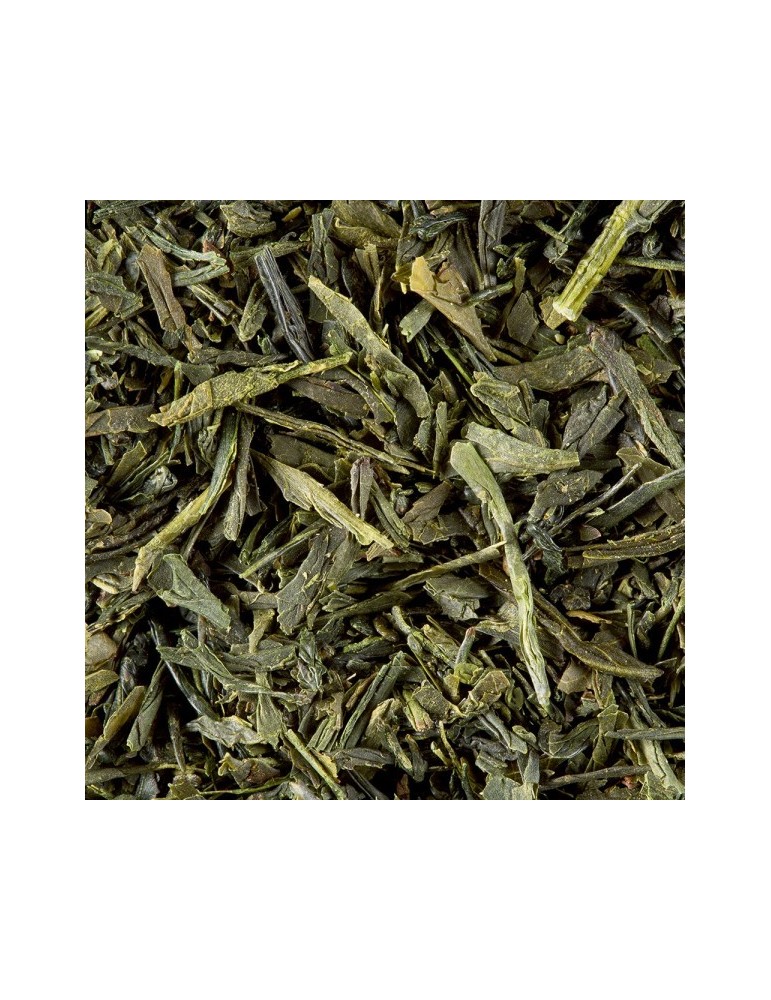 Sencha Fukuyu