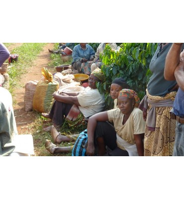Cameroun