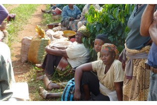 Cameroun