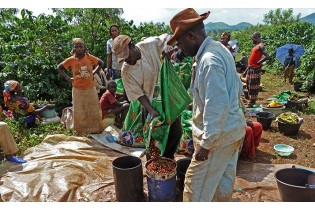 Cameroun