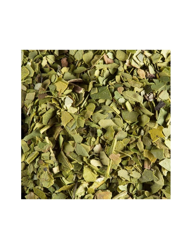 Maté Vert du Brésil