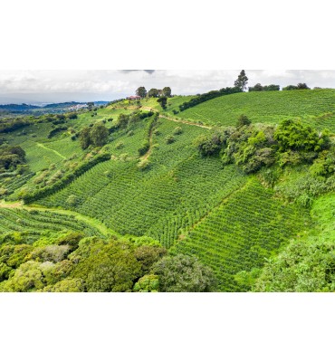 Costa Rica