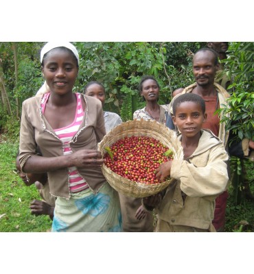 Moka Yirgacheffe