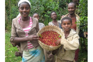 Moka Yirgacheffe