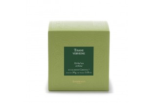 Verveine, 25 sachets cristal Dammann