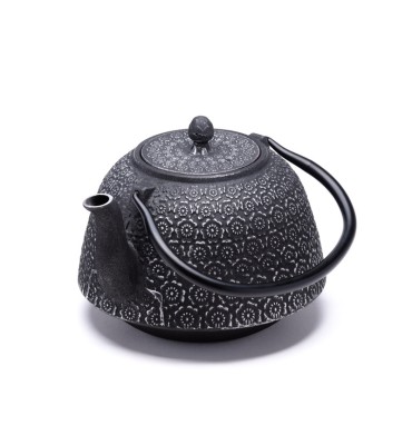 THÉIÈRE FONTE DE CHINE -...