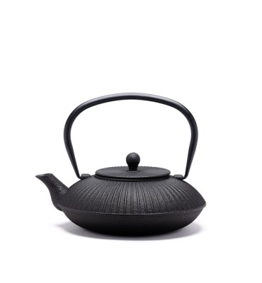 THÉIÈRE FONTE DE CHINE -...