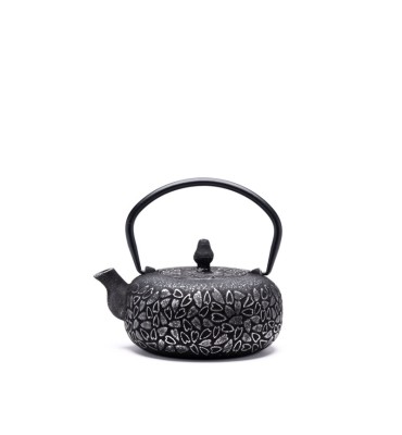 THÉIÈRE FONTE DE CHINE -...