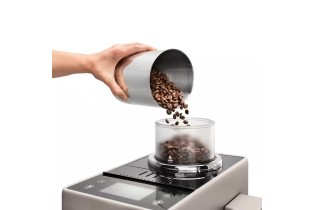 Royal Moka