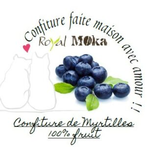 Confiture maison de Myrtilles au fructose (Copie)
