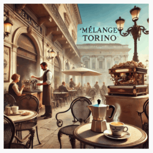 Mélange Torino (Copie)