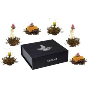 coffret 6 fleurs de the noir