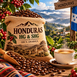 Café Honduras HG et SHG 100 % Arabica Royal Moka