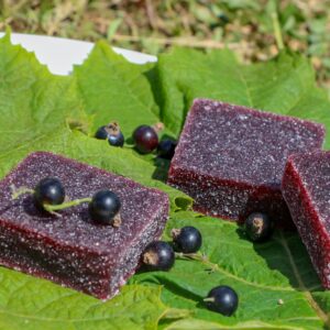 pate de fruit cassis