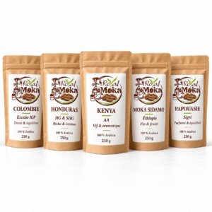 Pack Les 5 Escales Royal Moka : Colombie Excelso, Honduras, Kenya AA, Moka Sidamo et Papouasie Sigri, cinq sachets de 250 g.